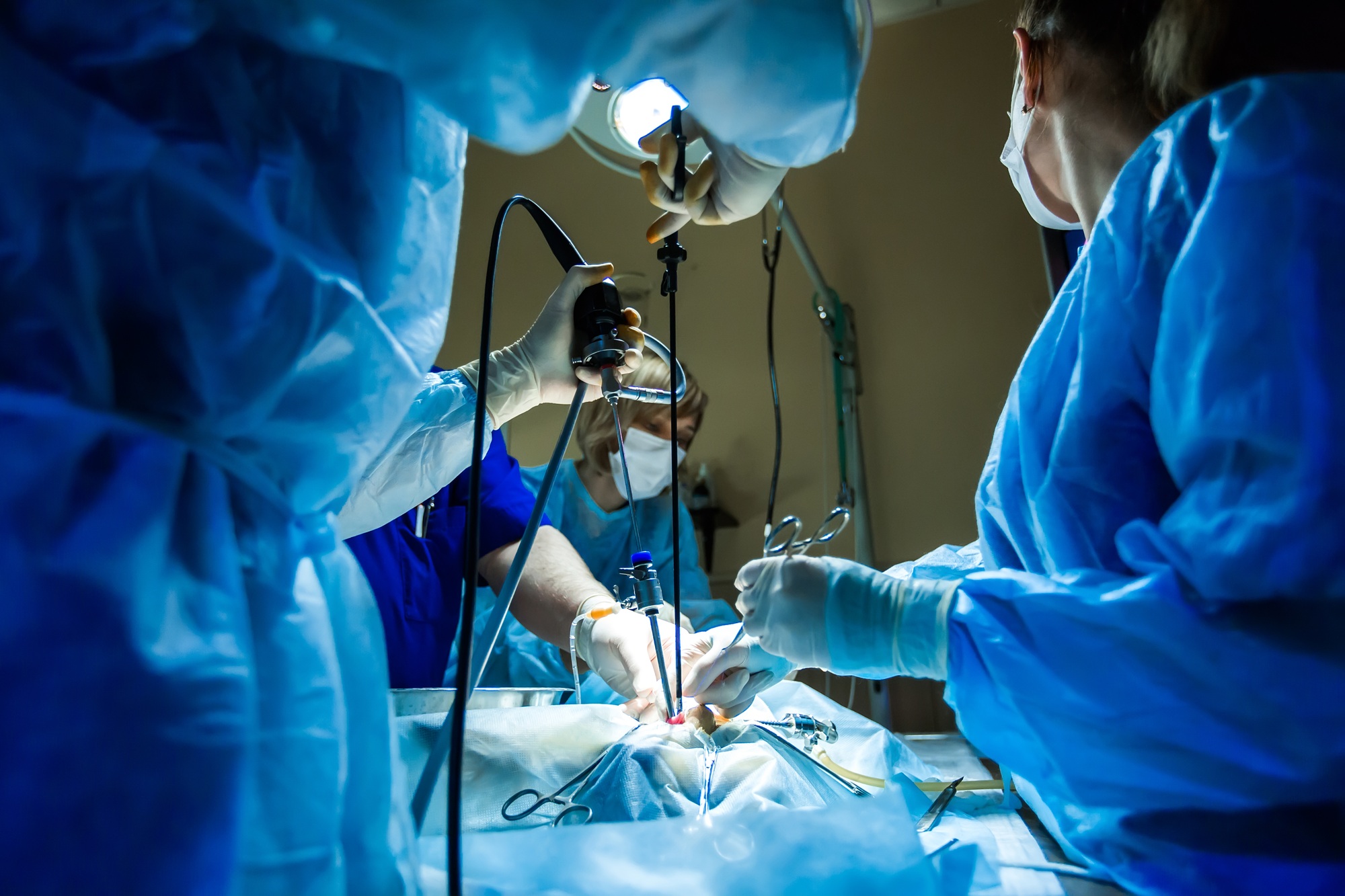Veterinarian doctor in operation room for laparoscopic surgical take with art lighting.
